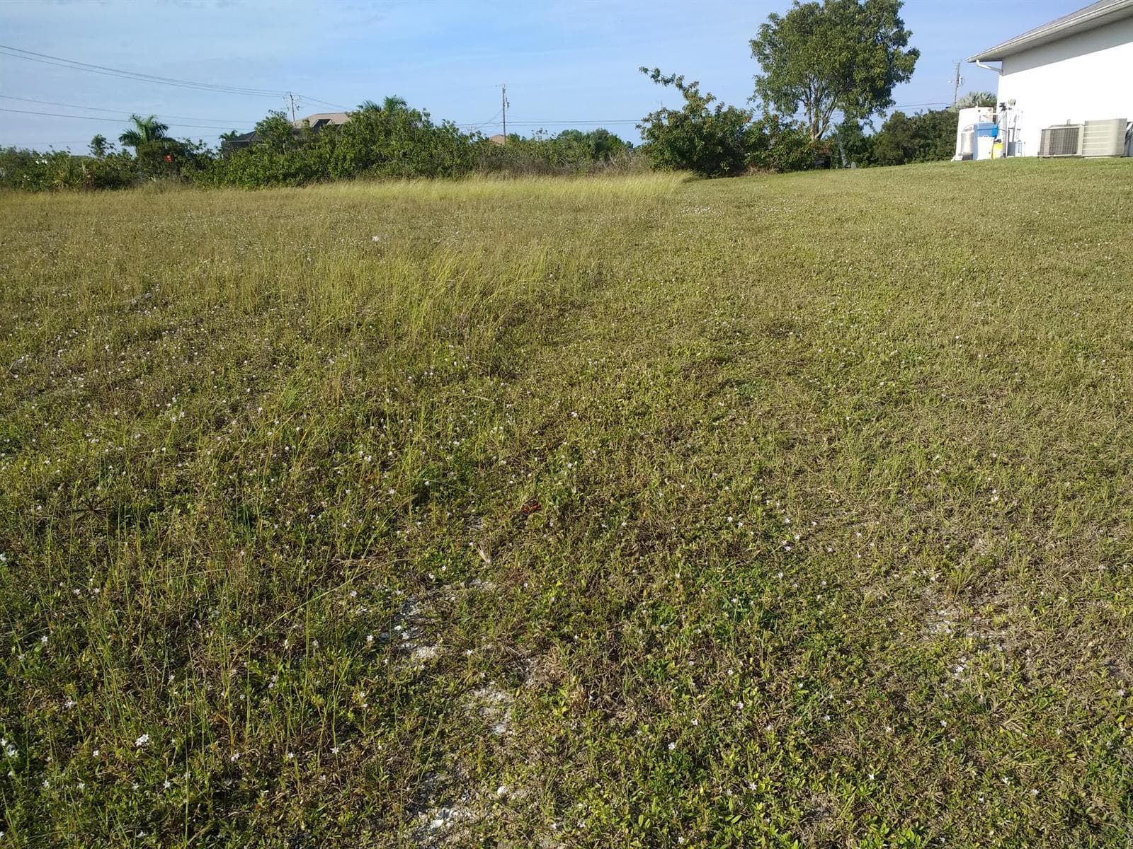 725 NW 8th Terrace, Cape Coral FL 33993 photo 4