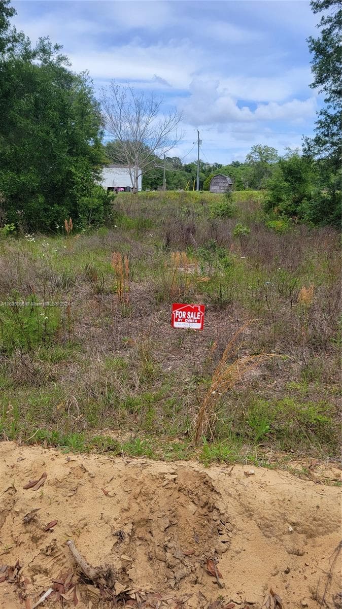 0 Lenore Ave, Palatka FL 32148 photo 2