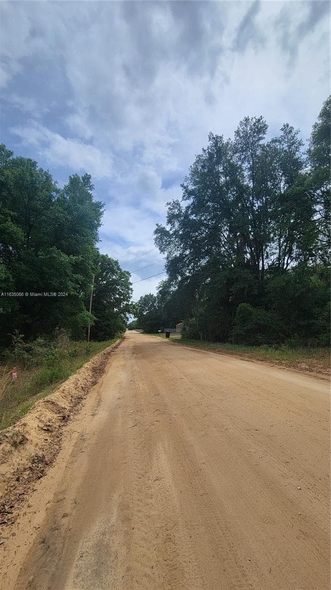 0 Lenore Ave, Palatka FL 32148 photo 5