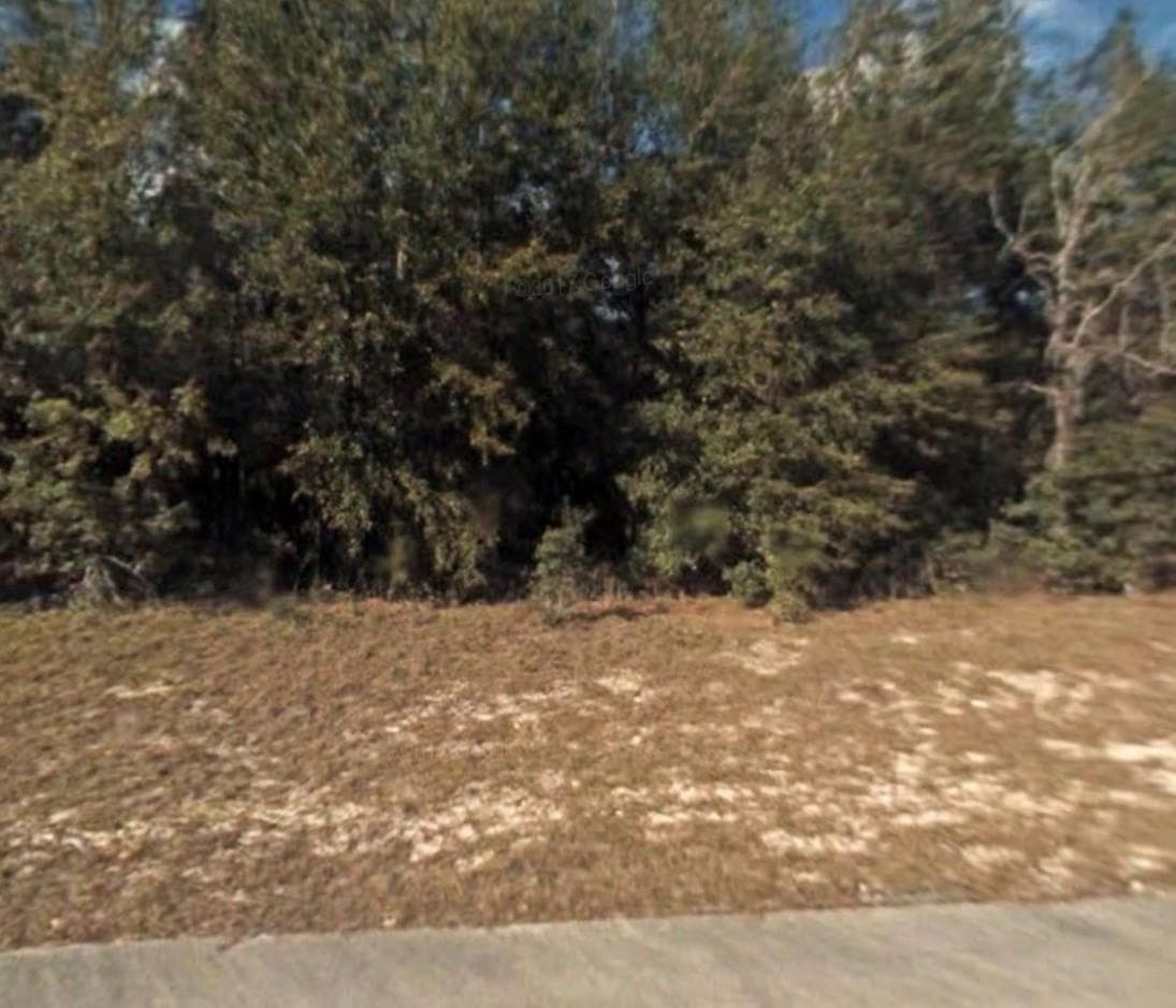 Lot 5 138 Lane, Ocala FL 34473 photo 2
