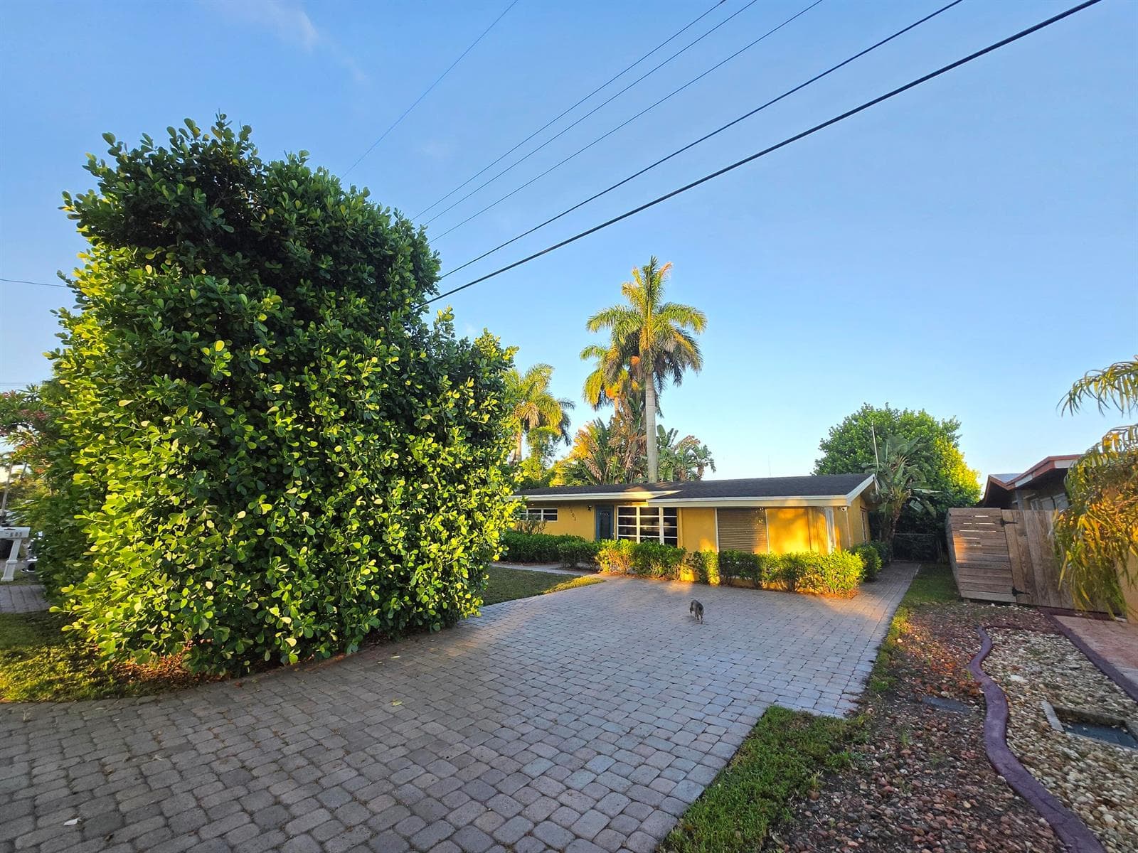 2503 Andros Lane, Fort Lauderdale FL 33312 photo 3