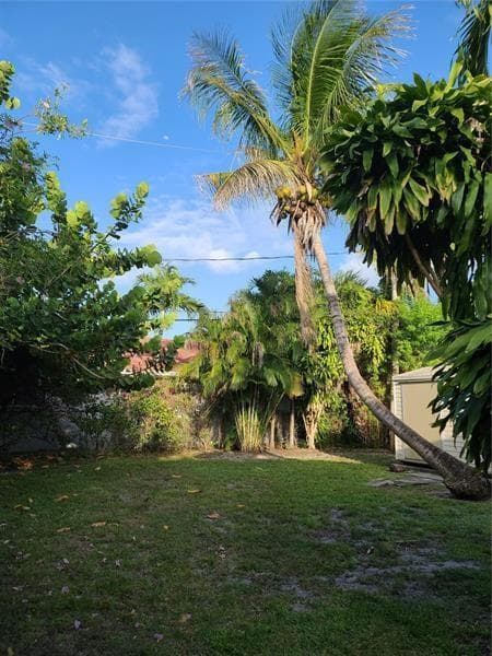 1123 N 17th Avenue, Hollywood FL 33020 photo 4