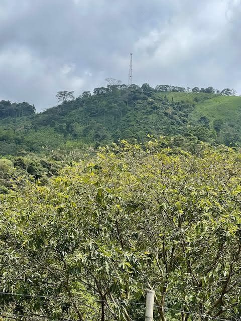 Colombia El Hatillo, Mariquita, Tol, Co photo 2