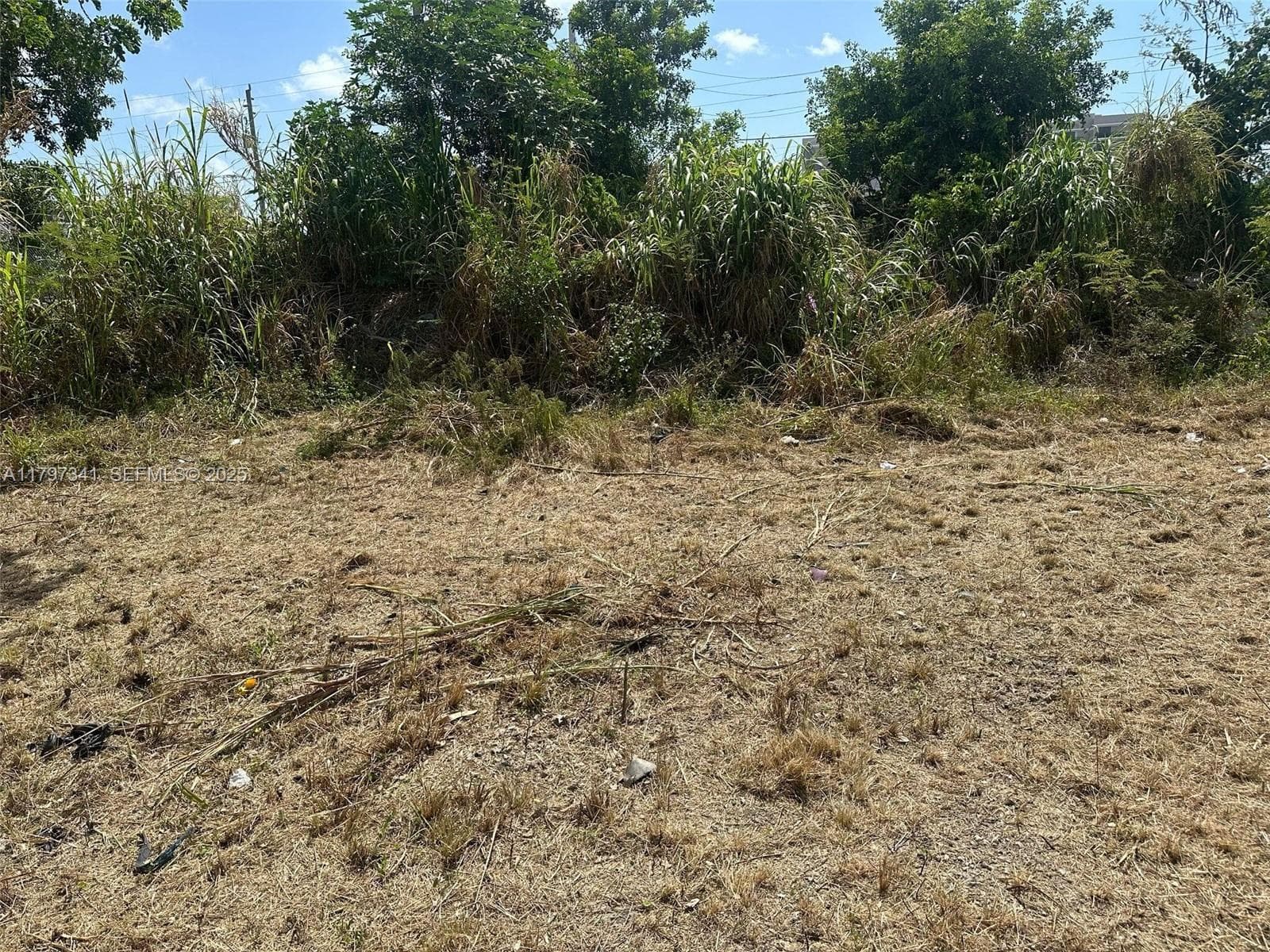 10025 W Indigo, Miami FL 33157 photo 2