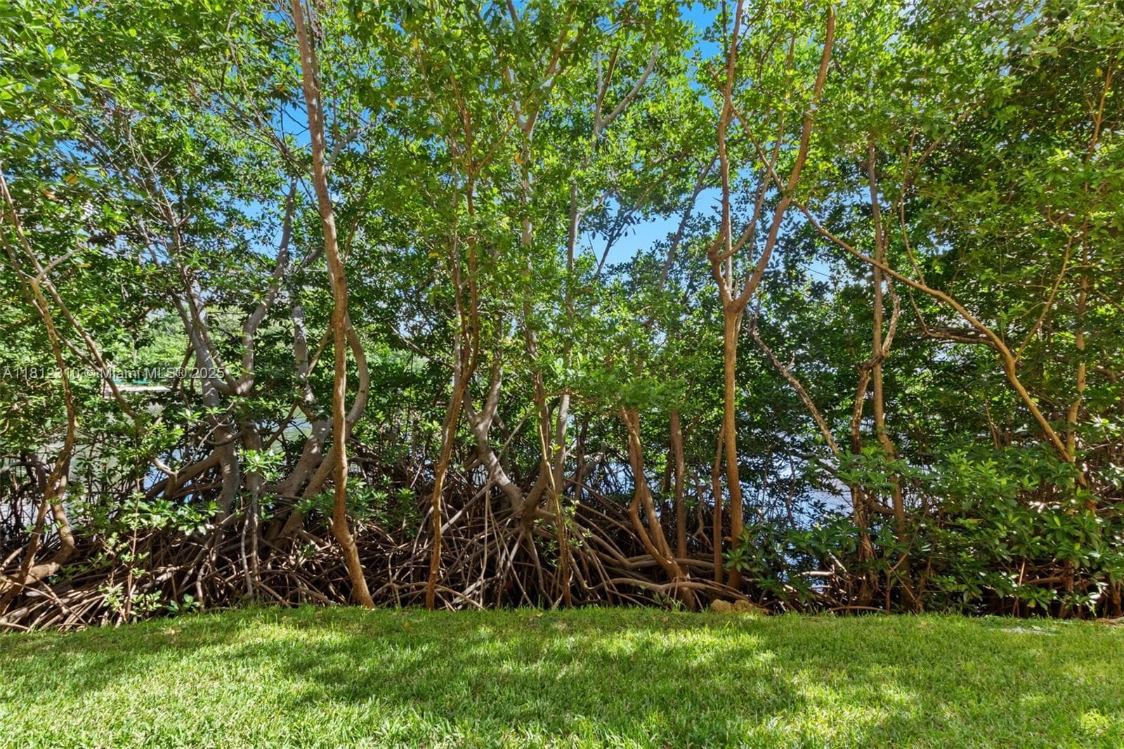 19999 E Country Club Dr # 1106, Aventura, FL 33180 photo 2