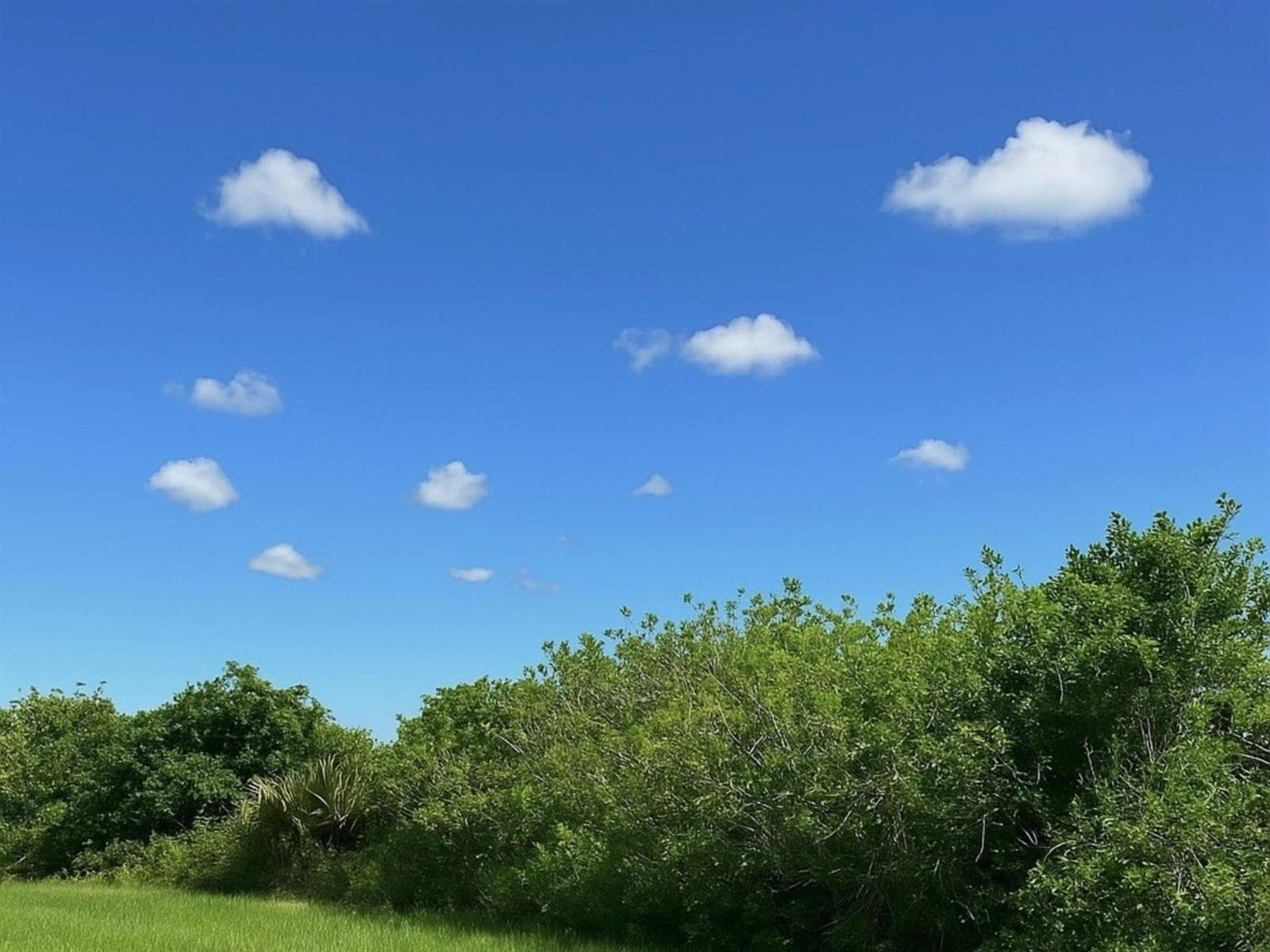 6617 SE 26th Trail, Okeechobee FL 34974 photo 2