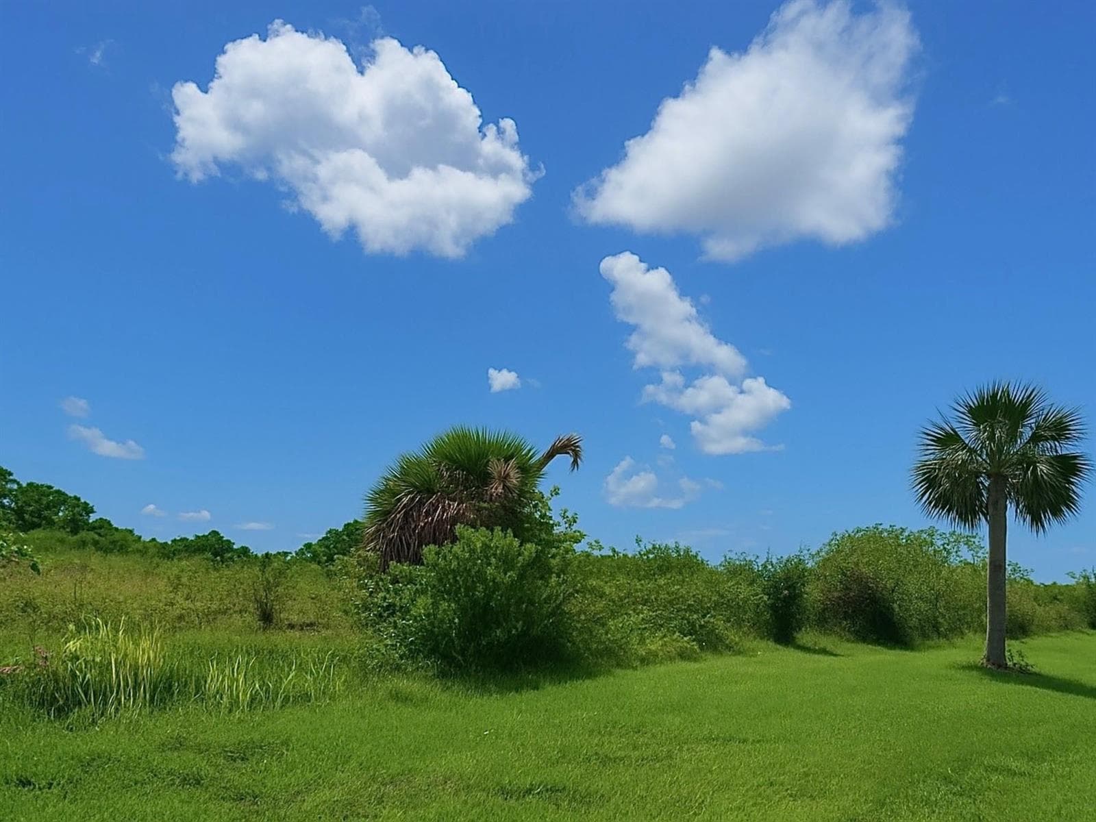 6617 SE 26th Trail, Okeechobee FL 34974 photo 4