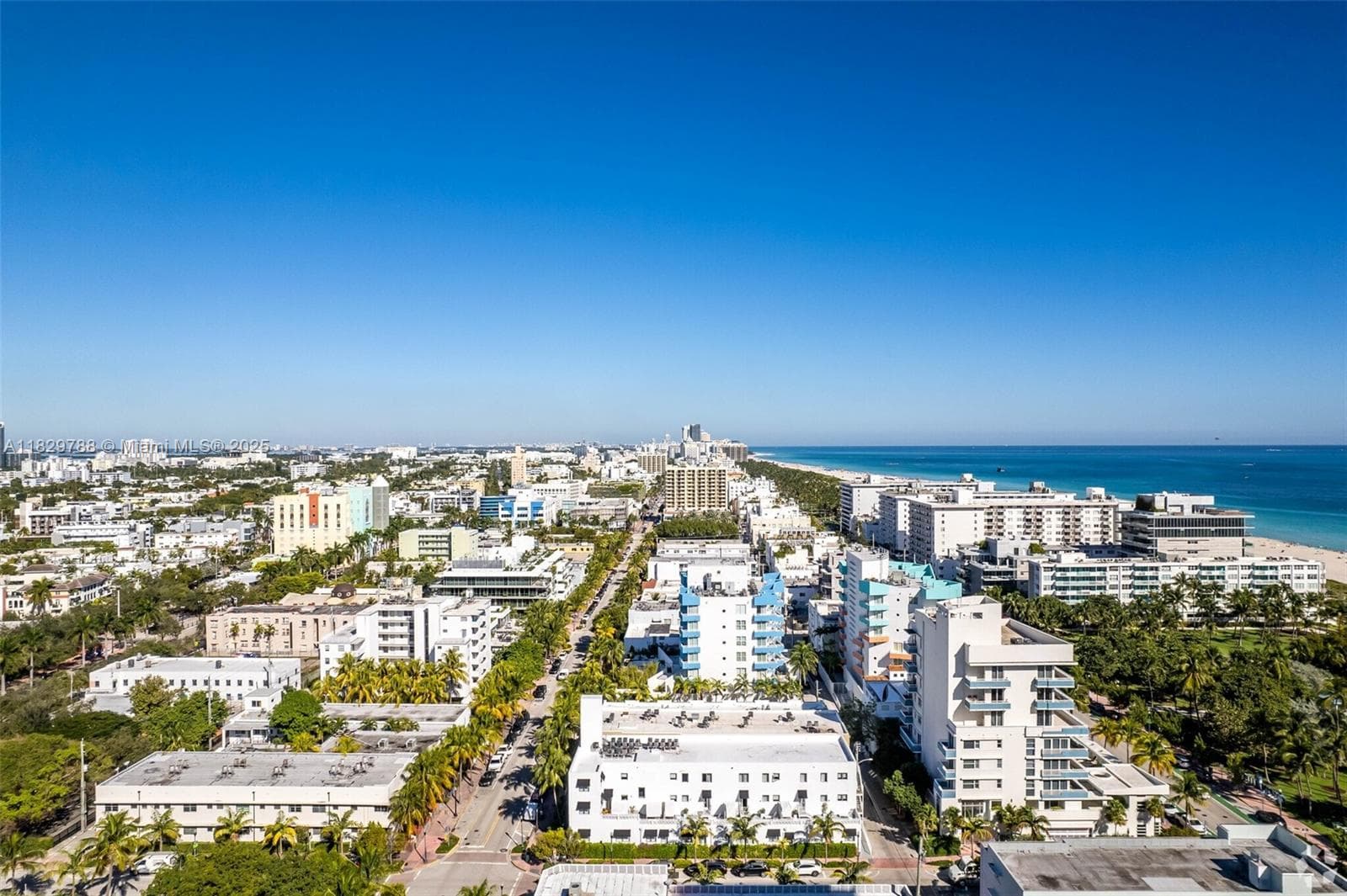 205 Collins Ave, Miami Beach FL 33139 photo 5