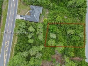 1325 SAGBLOOM SE, Palm Bay FL 33909 photo 3