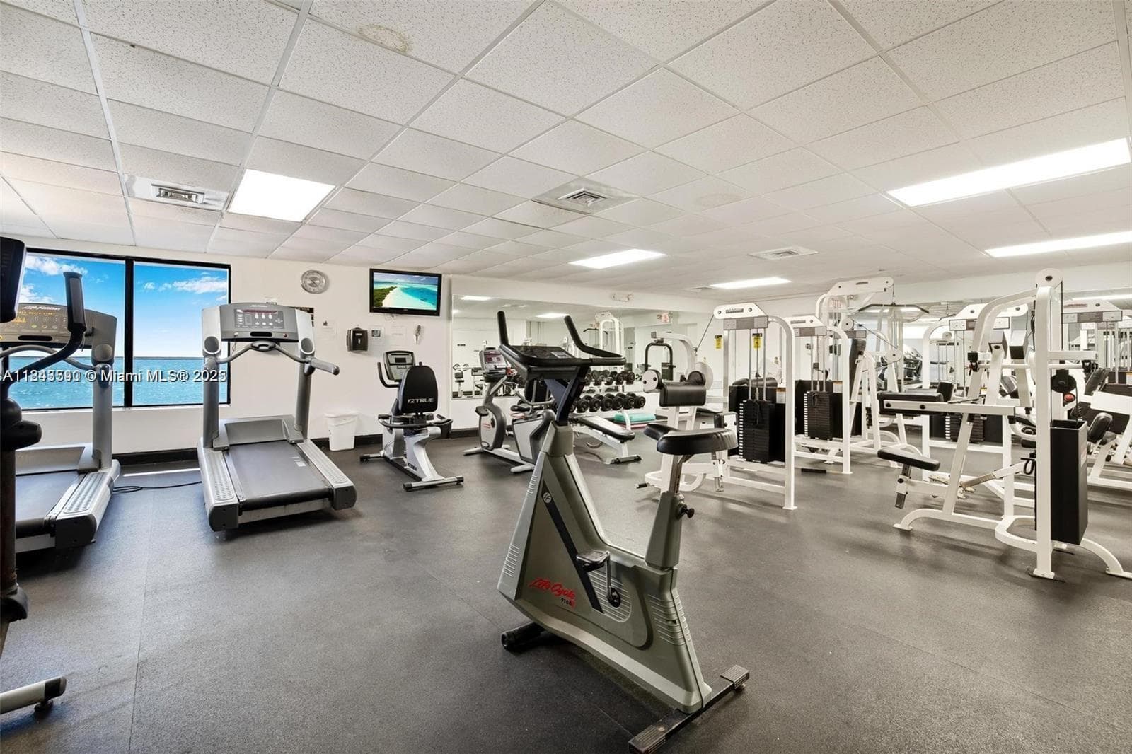 3725 S Ocean Dr # 415, Hollywood, FL 33019 photo 5