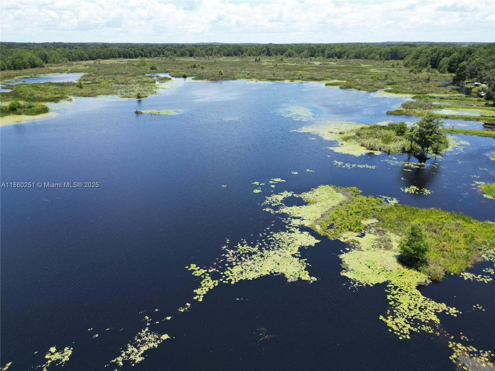 8781 S LAKESHORE DR FLORAL CITY, Other City - In The State Of Florida FL 34436 photo 2