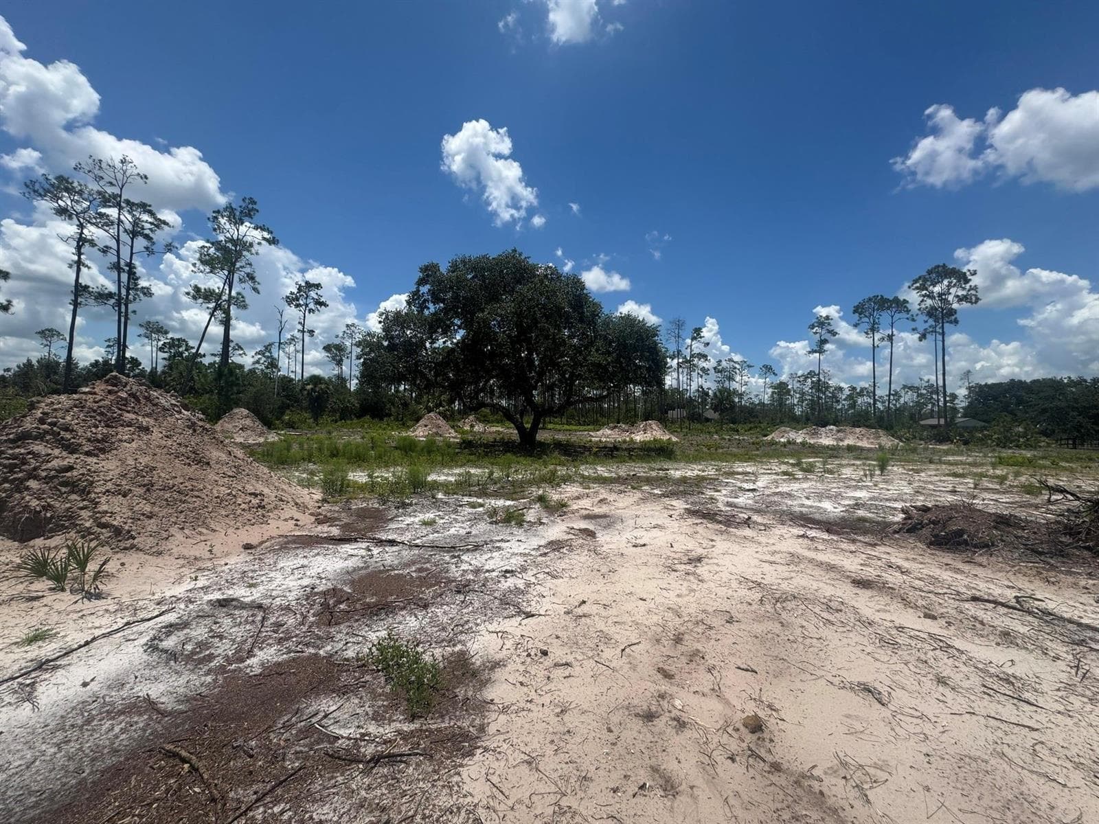 32801 Highway 441, Okeechobee FL 34972 photo 4