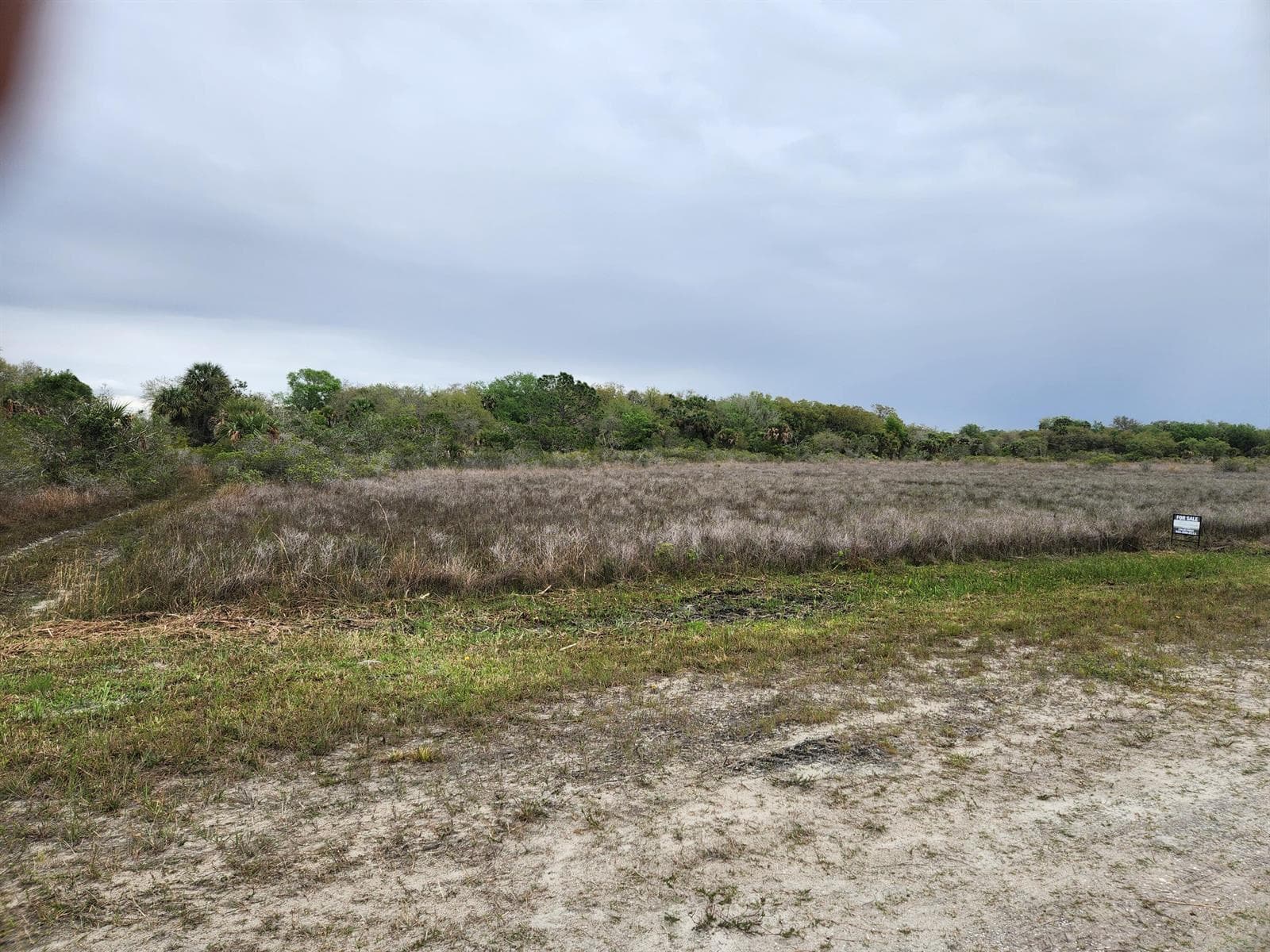 15679 NW 296th Street, Okeechobee FL 34972 photo 4