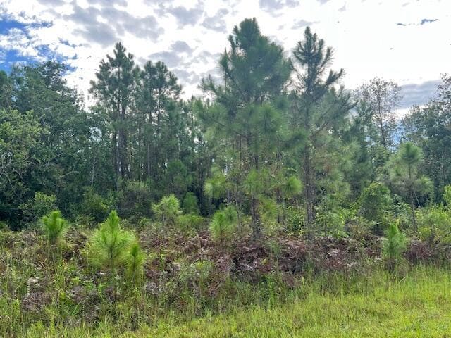 1131 Greenfield Street, Lake Placid FL 33852