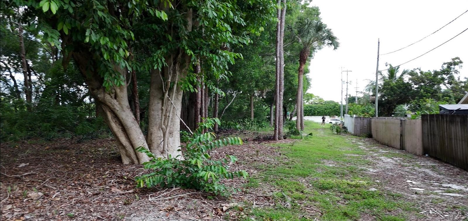 0000 Lantana Road, Atlantis FL 33462 photo 3