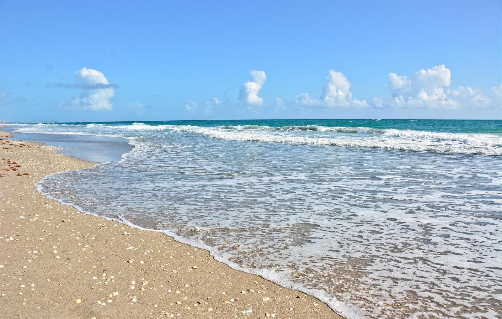 50 Celestial Way # 8e, Juno Beach FL 33408 photo 5