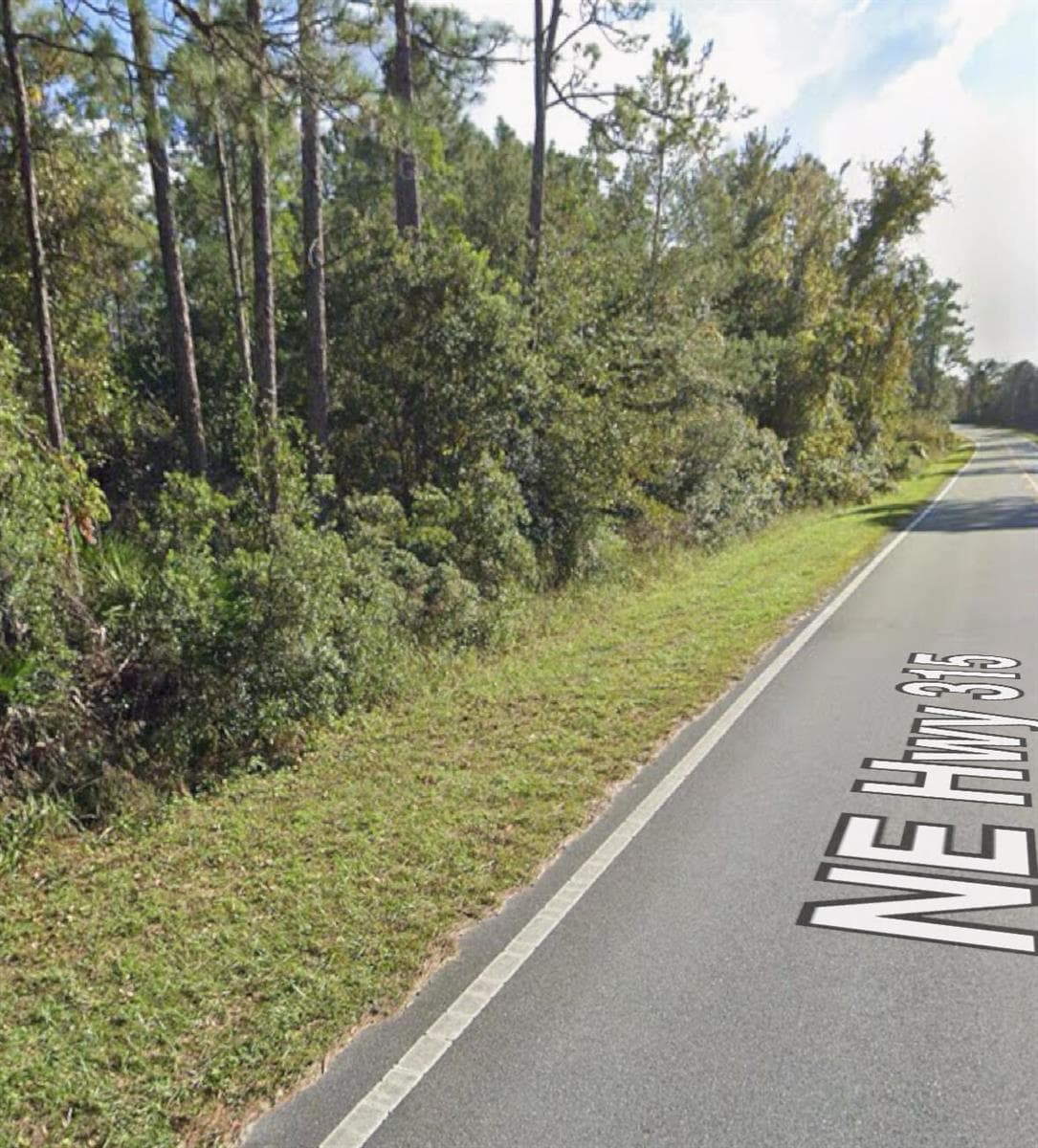 0 NE 315 Hwy, FL 32134 photo 2