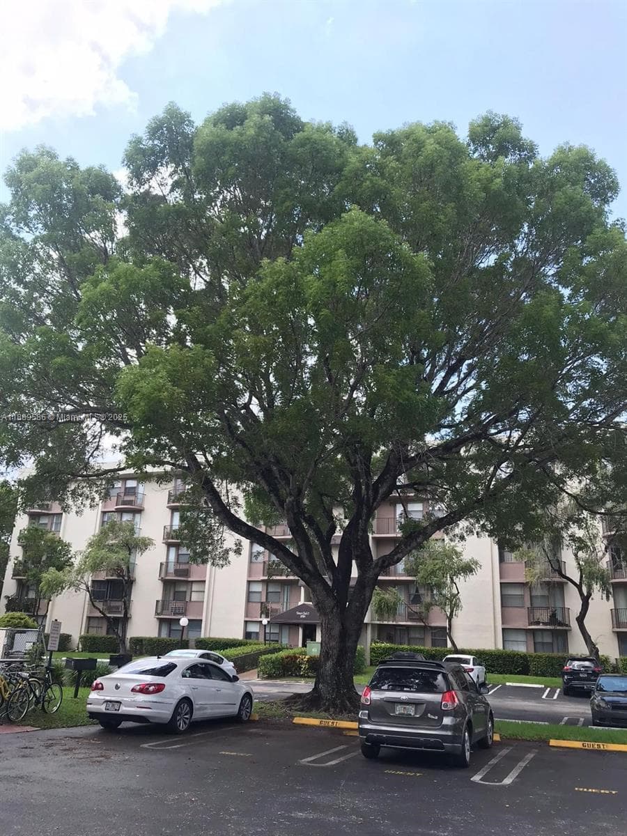 2701 Riverside Dr # 515-B, Coral Springs FL 33065 photo 2