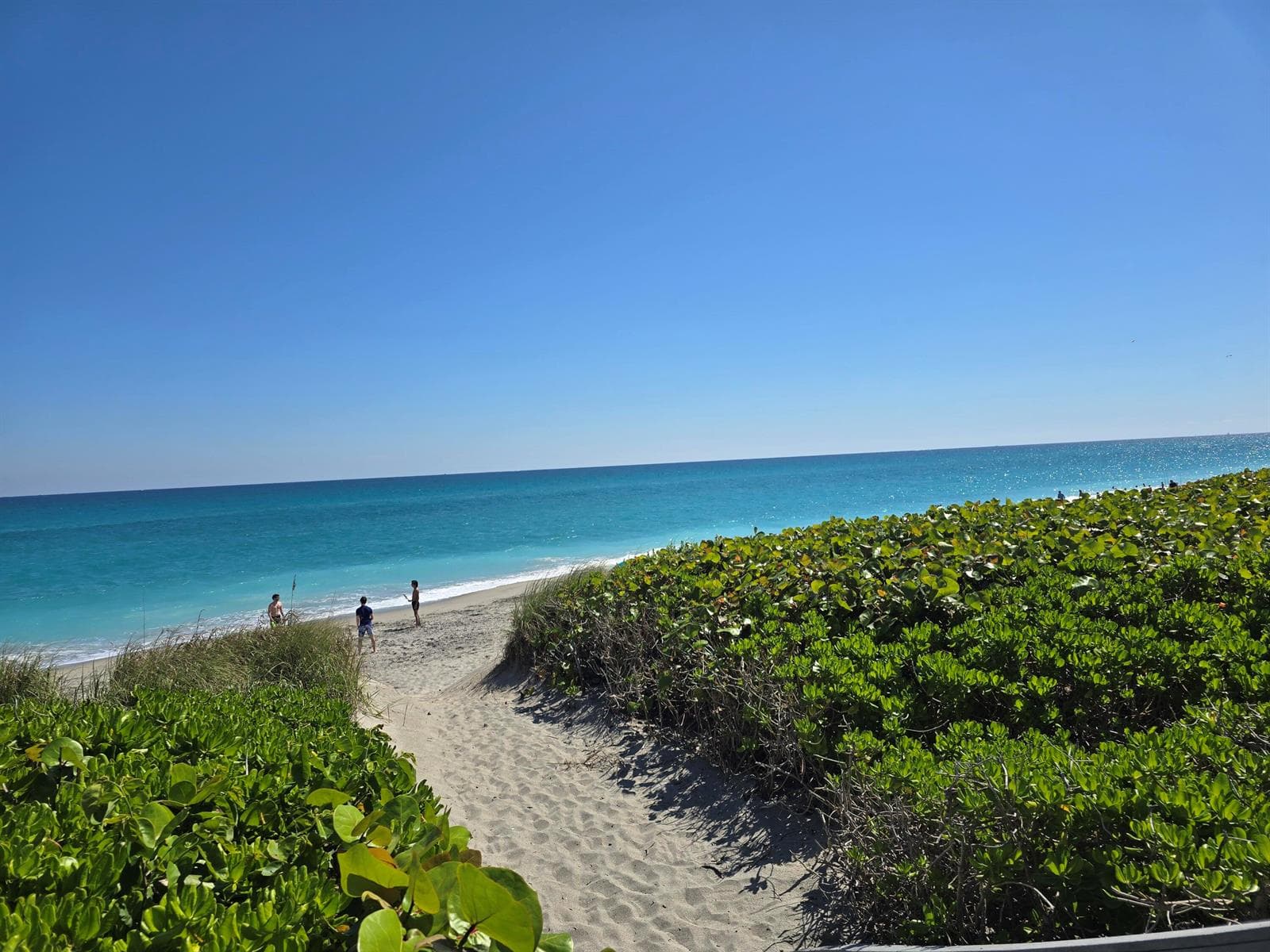 420 Celestial Way # 204, Juno Beach FL 33408 photo 2