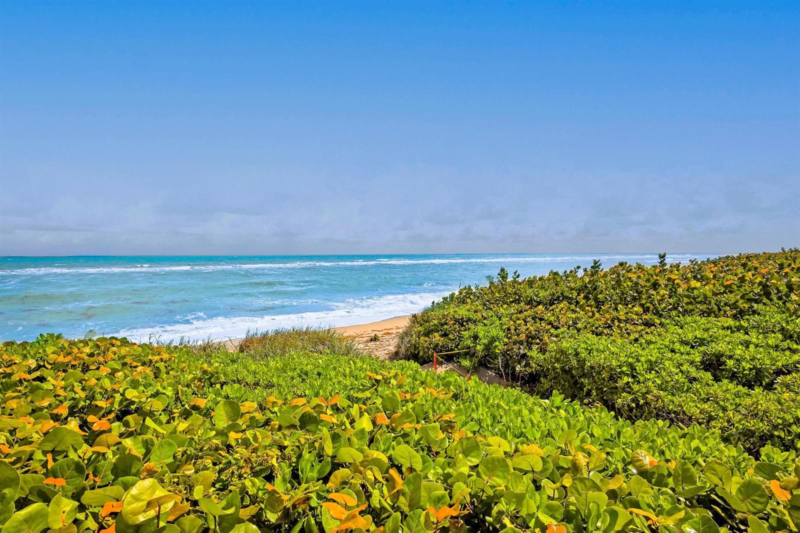 420 Celestial Way # 204, Juno Beach FL 33408 photo 4