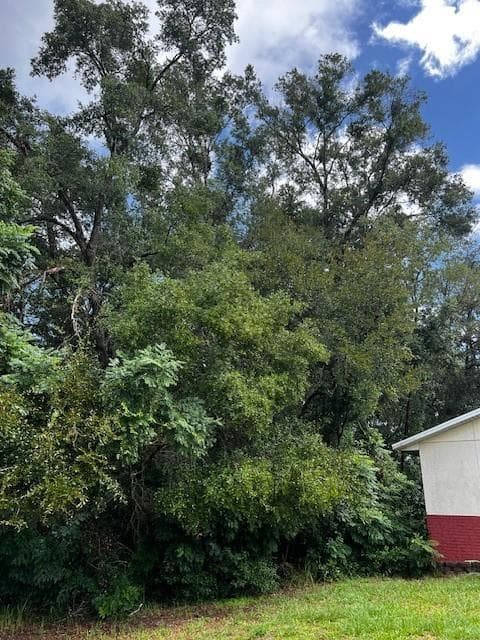000 Silver Course Loop, Ocala FL 34472 photo 3