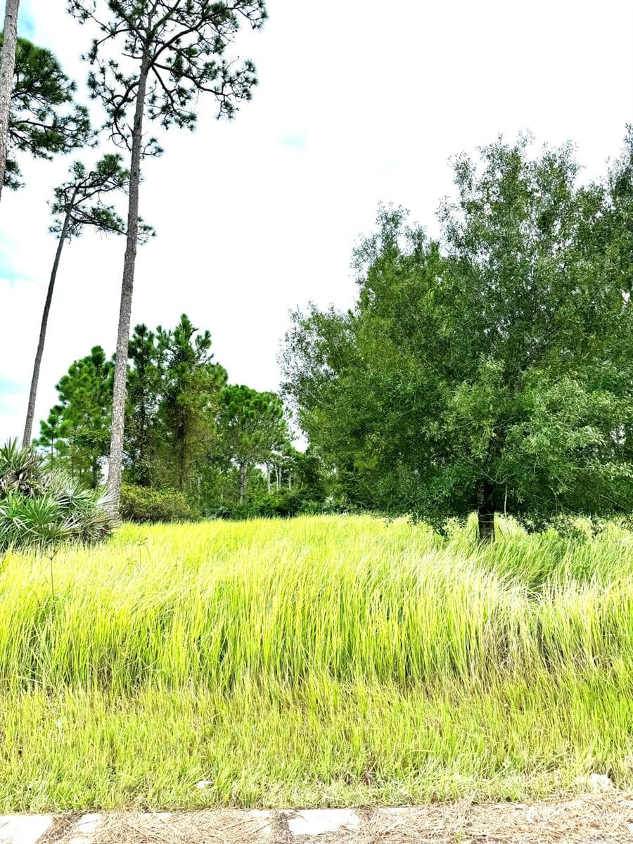 10615 Sugar Pine Drive, Fort Pierce FL 34945 photo 2