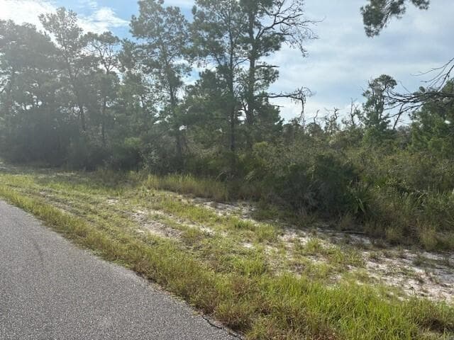 533 Boylston Street, Lake Placid FL 33852 photo 2