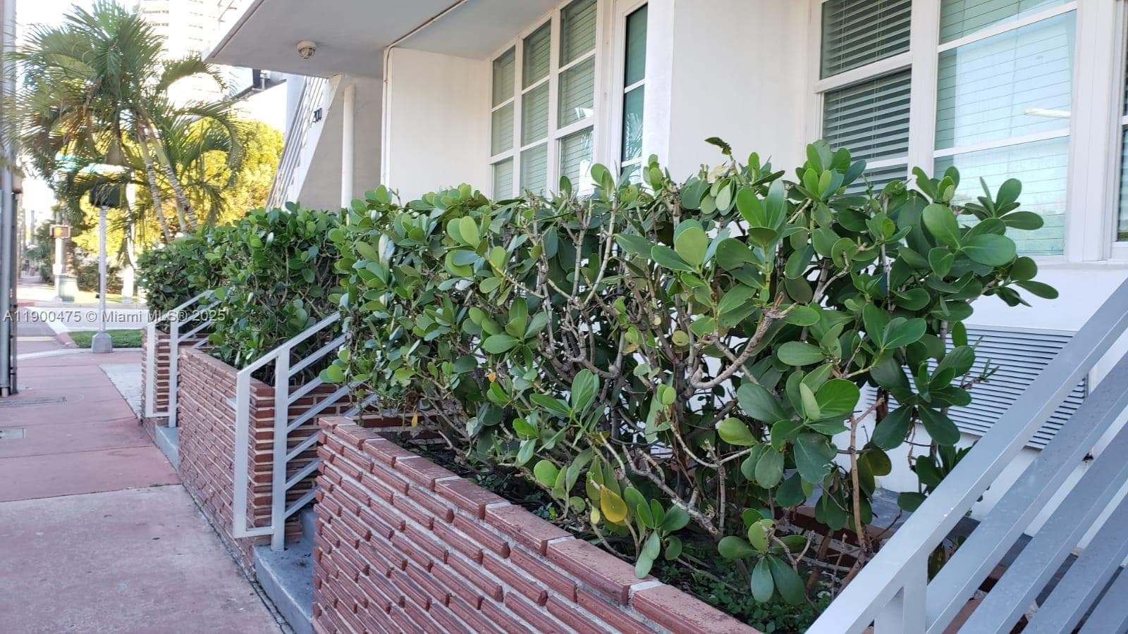 300 74th St # 3, Miami Beach FL 33141 photo 2