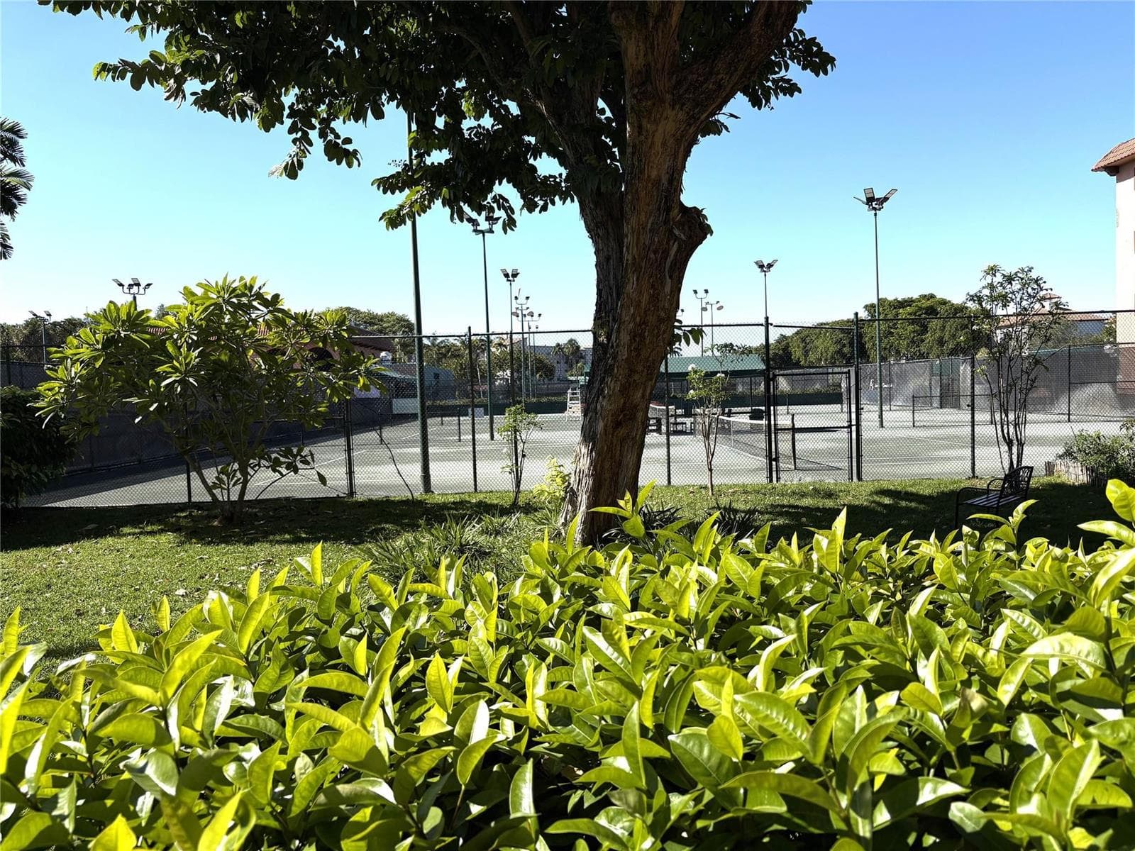 620 Tennis Club Drive # 105, Fort Lauderdale FL 33311 photo 3
