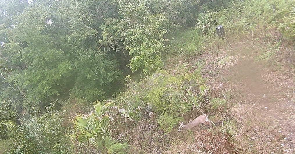 0 298th Street, Okeechobee FL 34972 photo 3