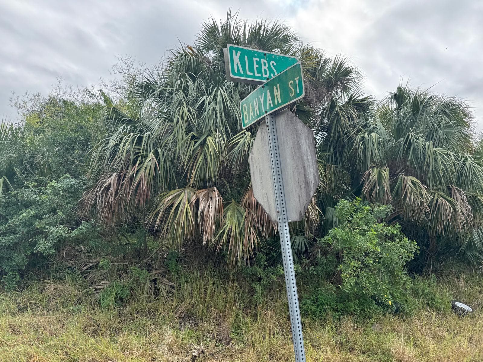 0000 Klebs Avenue SW, Palm Bay FL 32908