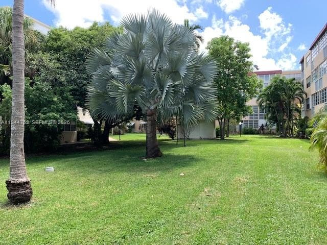 1333 E Hallandale Beach Blvd # 131, Hallandale Beach FL 33009 photo 3