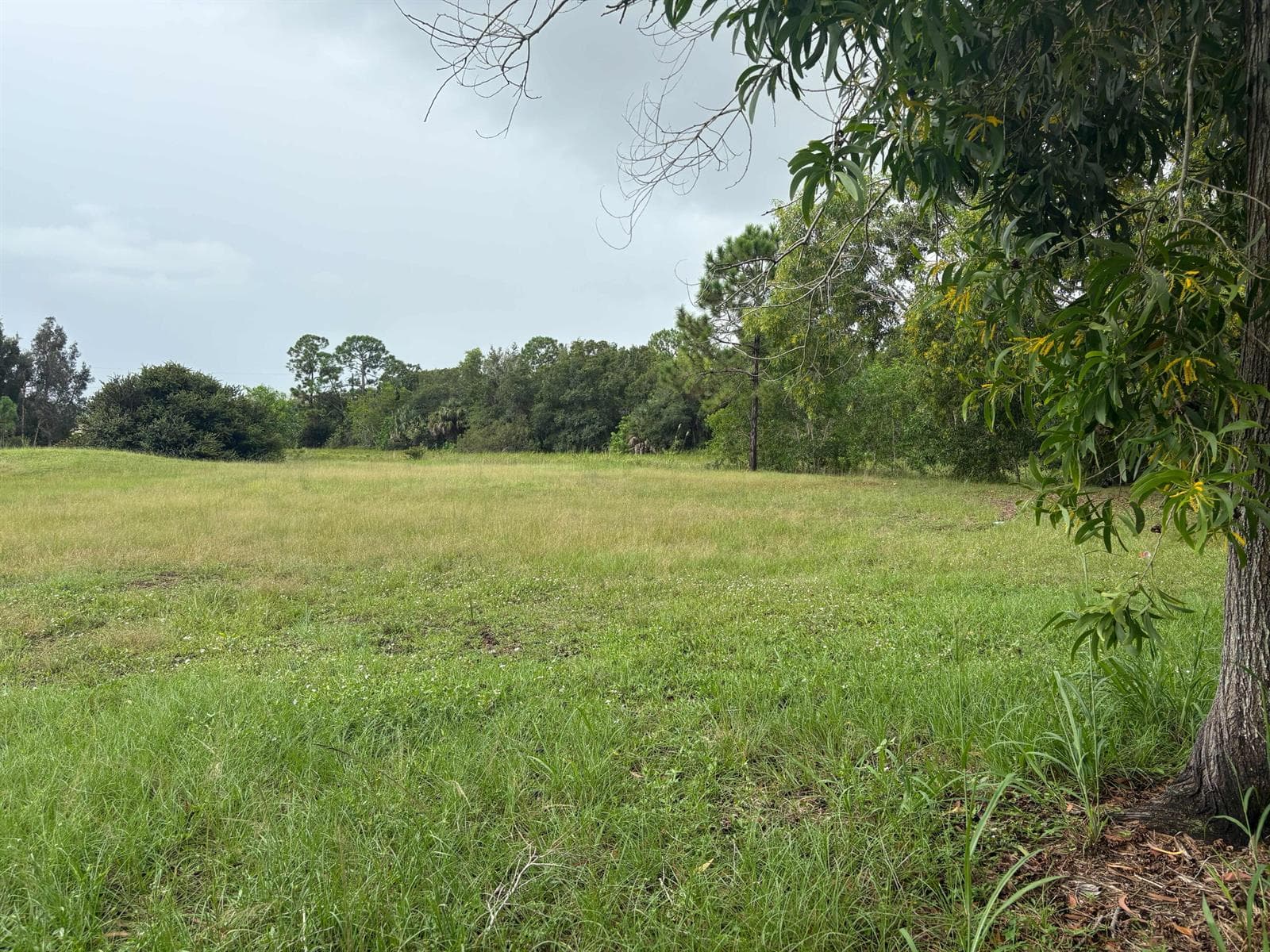 2520 SE Melaleuca Boulevard, Port St. Lucie FL 34952 photo 4