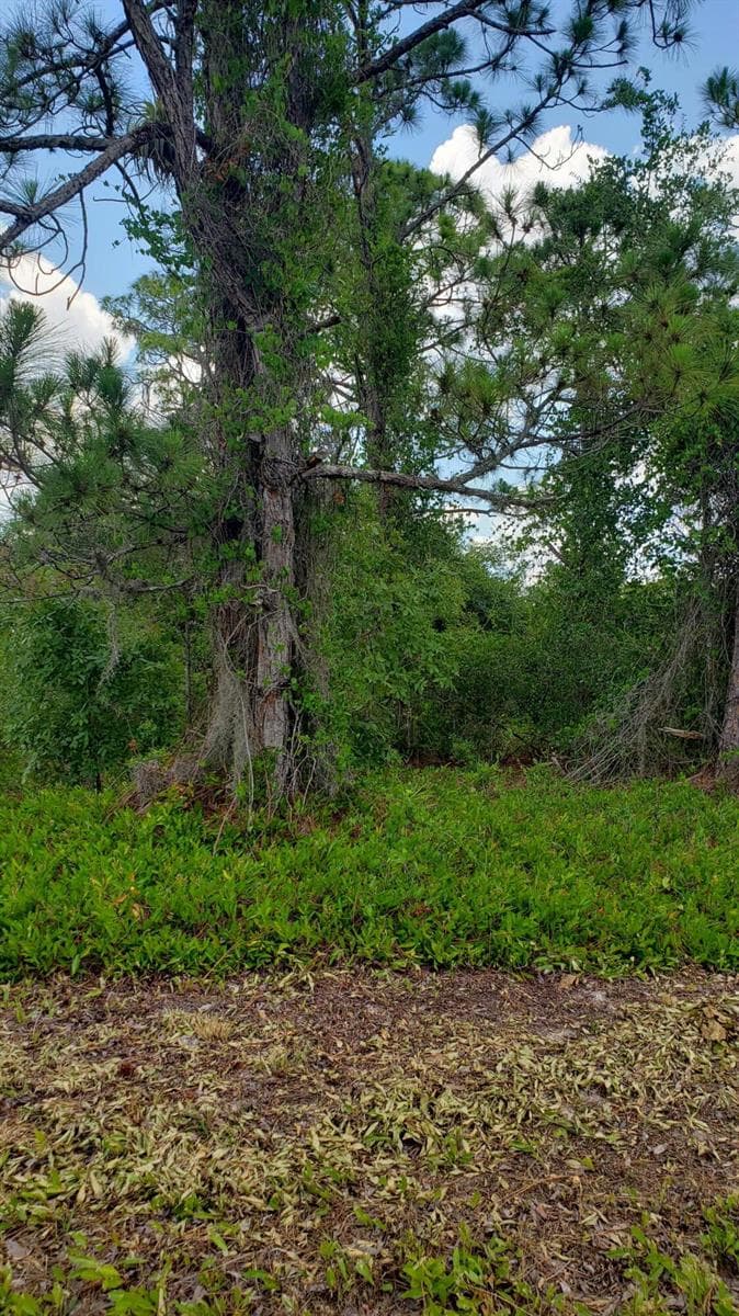 932 Island Parkway NE, Lake Placid FL 33852 photo 3
