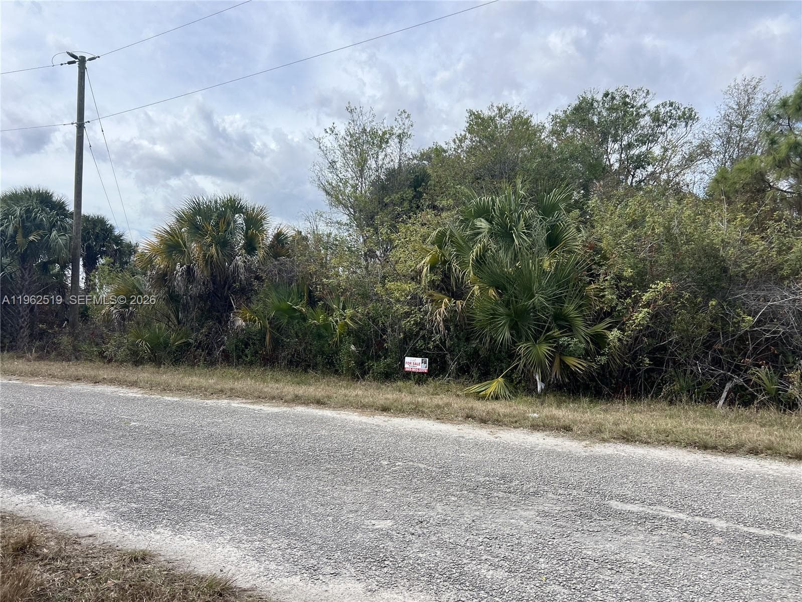 1913 Roderick Ln, Lehigh Acres FL 33972