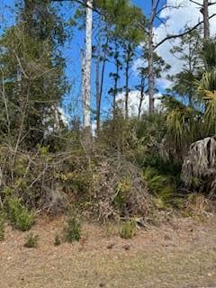 Xxx Eldron Avenue, North Port FL 34286 photo 2