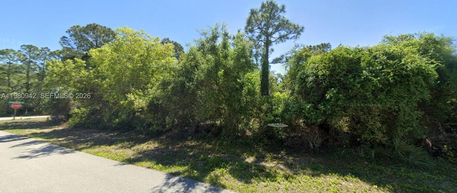 235 Deerwalk Ave, Lake Placid FL 33852 photo 3