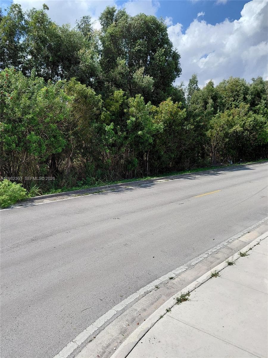 168xx 45th st, Miami FL 33185 photo 3