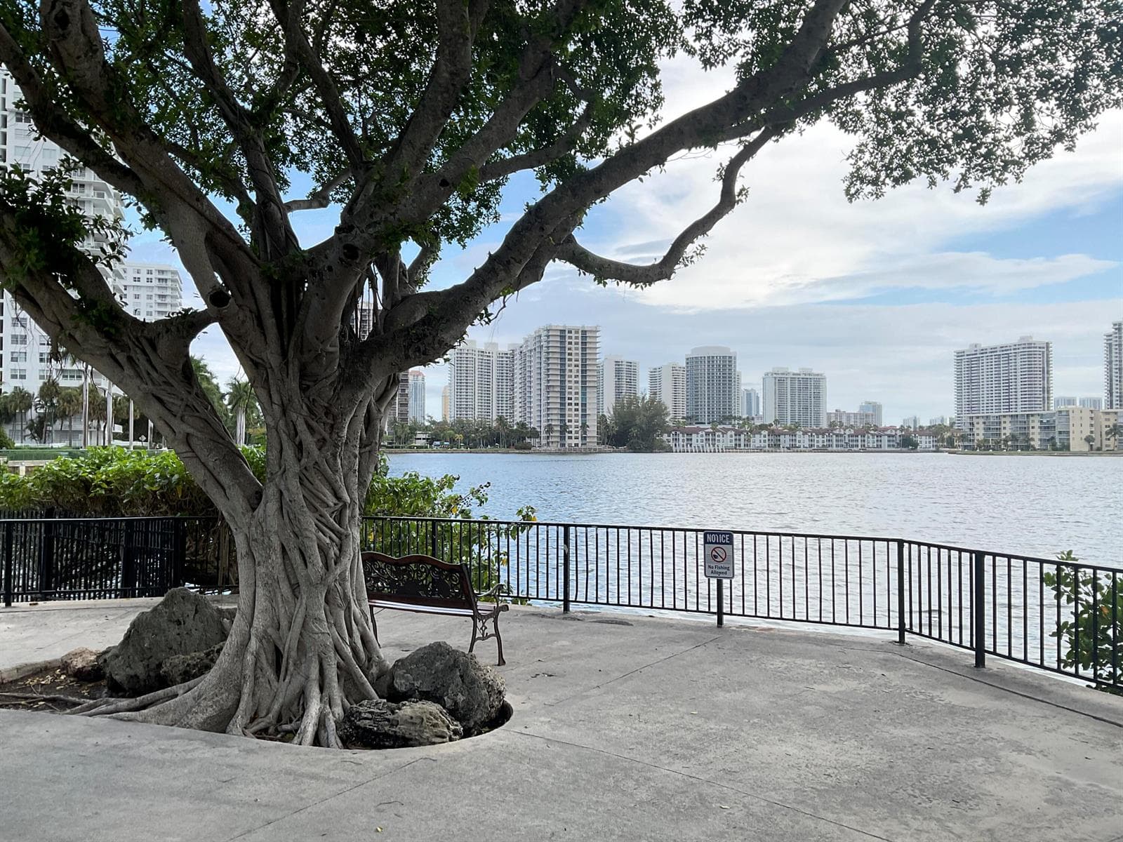 2780 NE 183rd Street # 716, Aventura FL 33160 photo 5