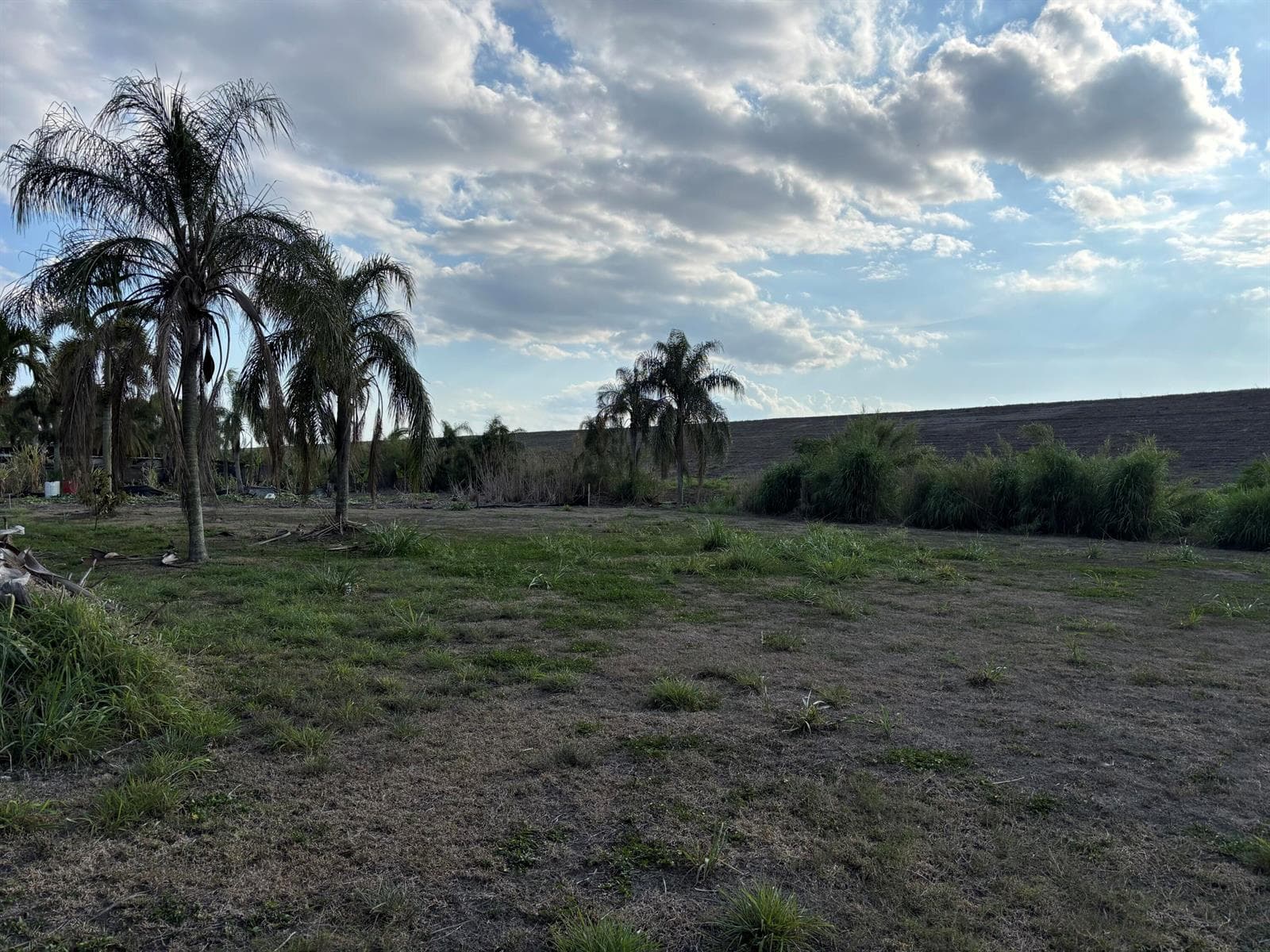 0 Airport Road, Pahokee FL 33476 photo 4
