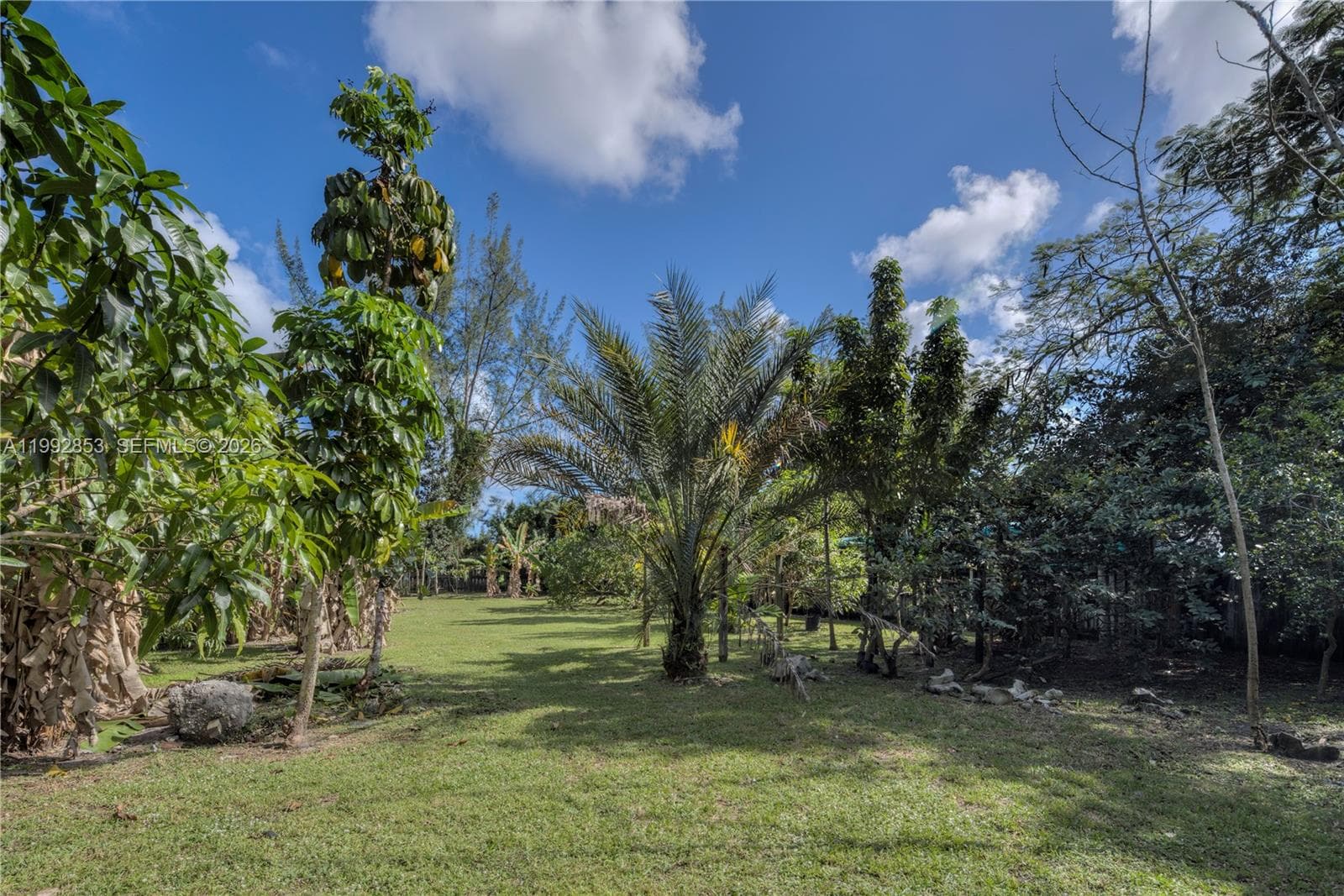 14115 NW 5th Ave # 1, Miami FL 33168 photo 5