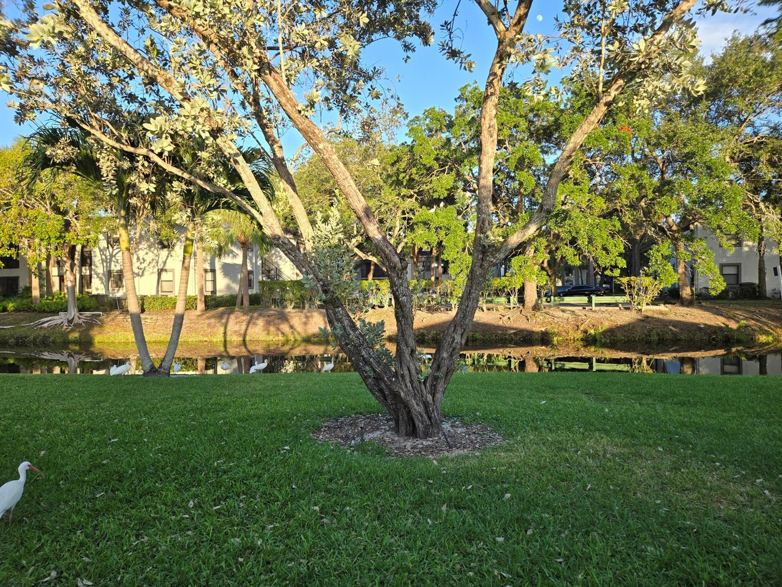 1320 NW 82nd Avenue, Plantation FL 33322 photo 2