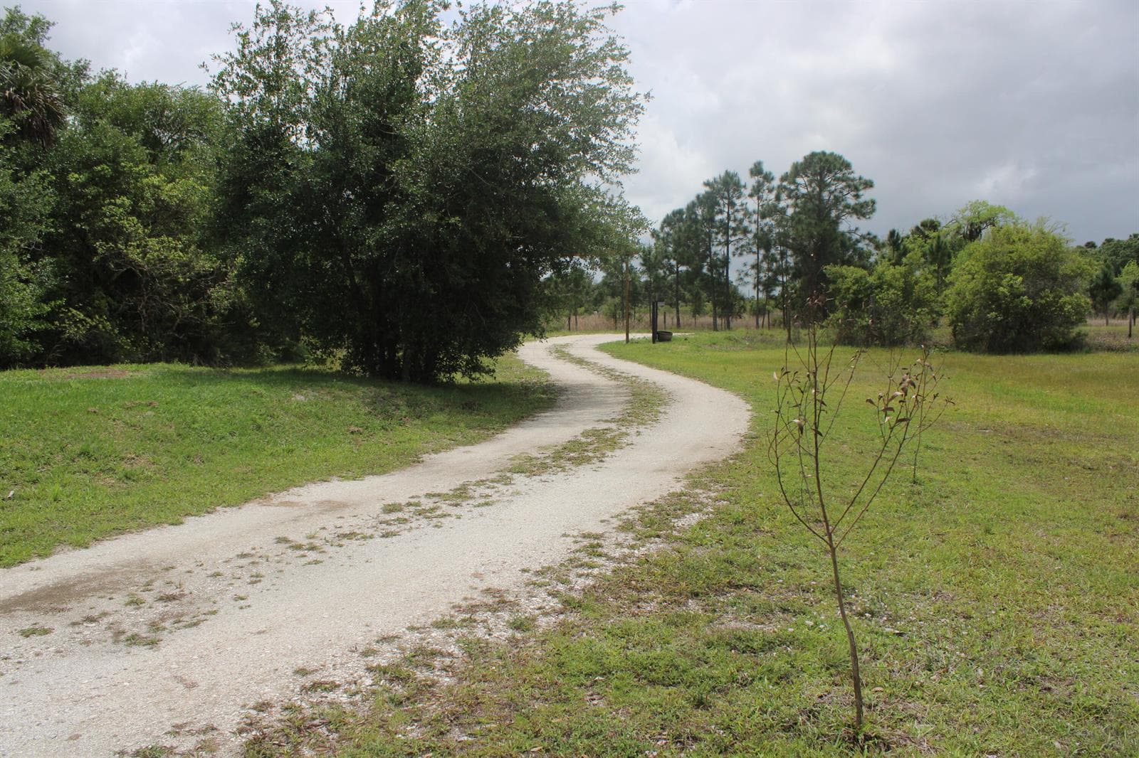 15367 NW 296th Street, Okeechobee FL 34972 photo 3