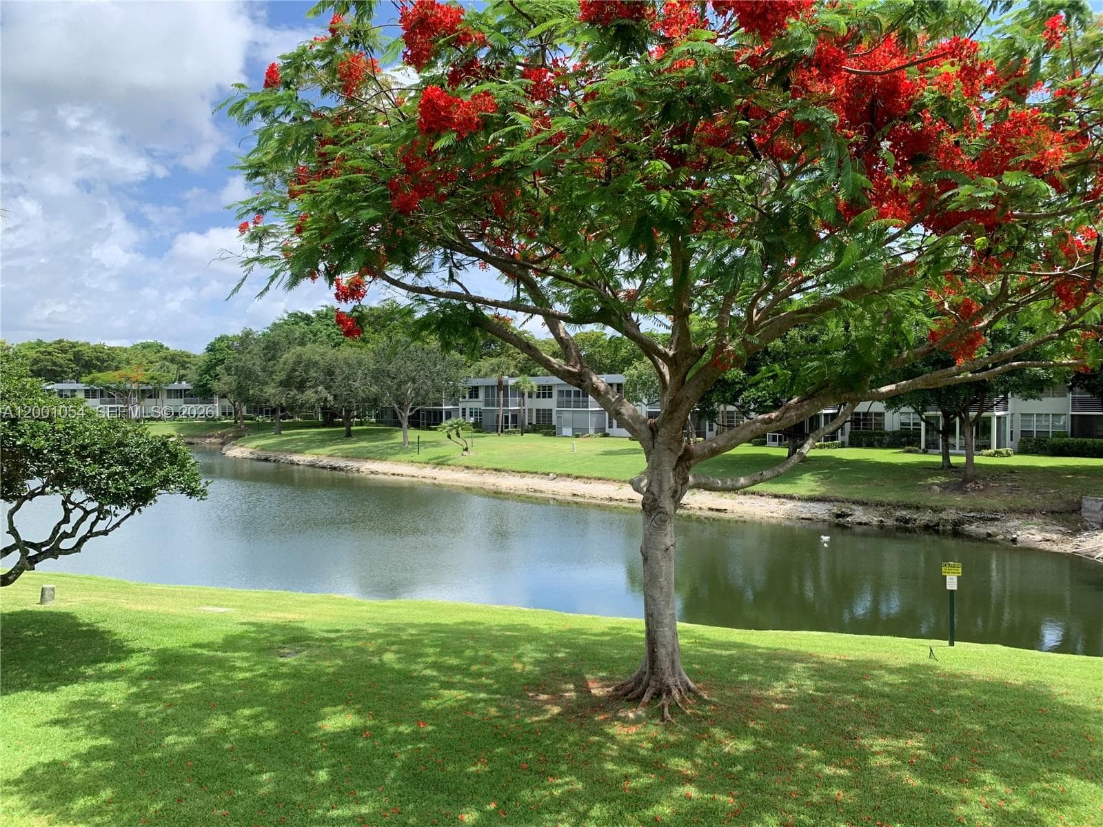 4221 W Palm Aire Dr # 203, Pompano Beach FL 33069