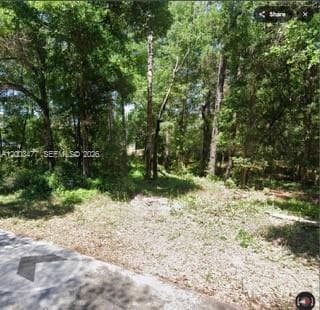 0 SW SW 97 PL, Dunnellon, Ocala FL 34432 photo 3