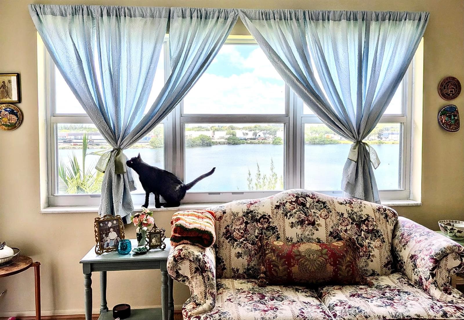 4311 Crystal Lake Drive # 407, Deerfield Beach FL 33064 photo 4
