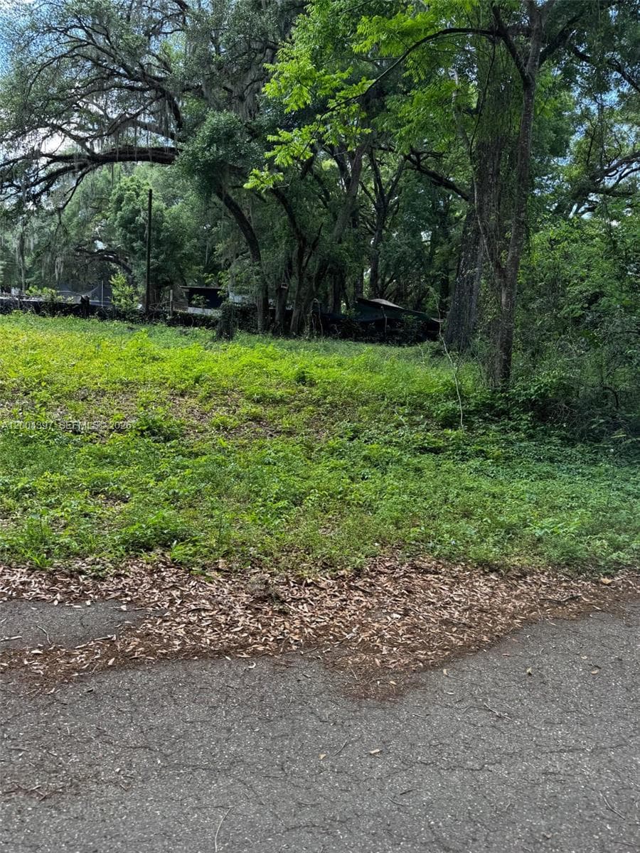 0 NW 60 ct, Ocala FL 34482 photo 2