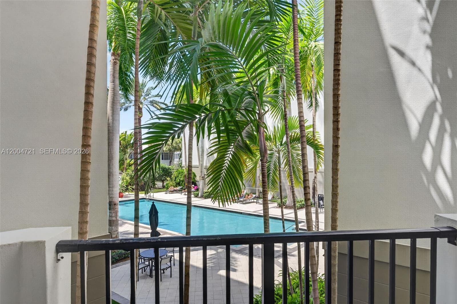 2401 NE 65th St # 205, Fort Lauderdale FL 33308 photo 5