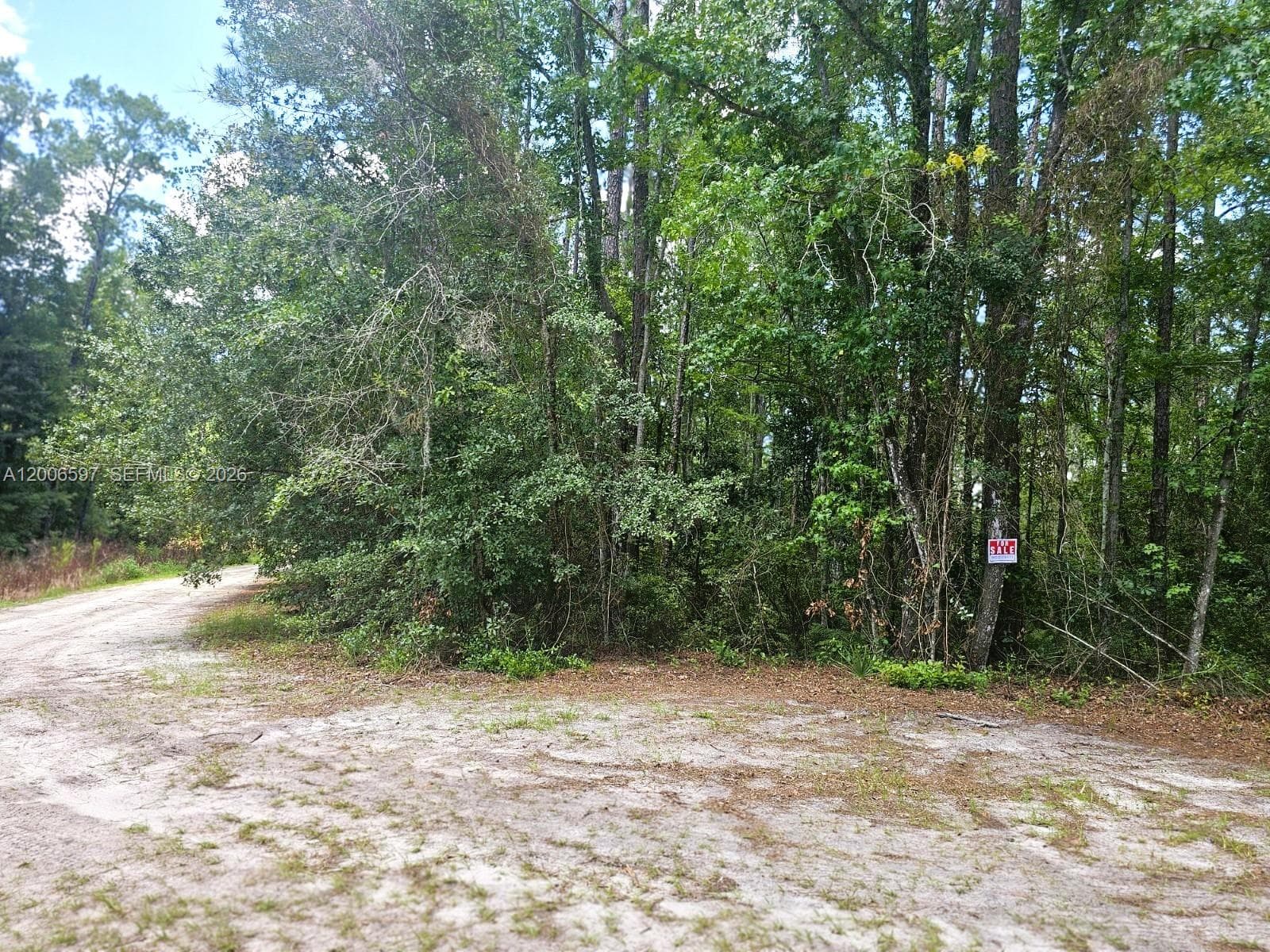 No situs SE 2nd ST, Palatka FL 32177
