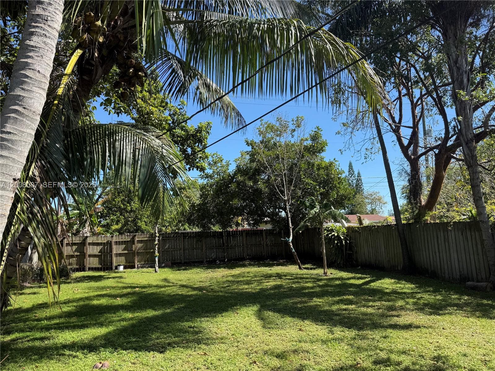 2323 Cleveland St, Hollywood FL 33020 photo 3